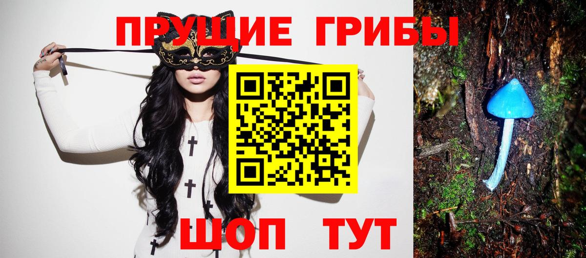 Псилоцибиновые грибы мицелий Сертолово
