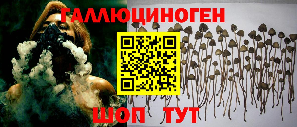 Сертолово  Псилоцибиновые грибы мицелий  Вход с VPN 
